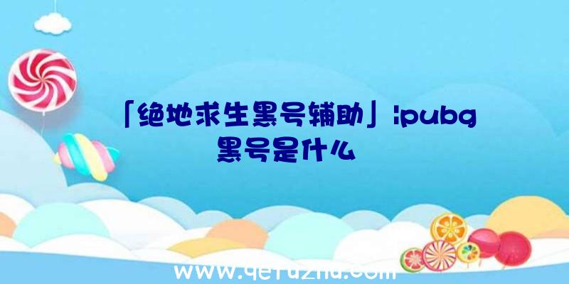 「绝地求生黑号辅助」|pubg黑号是什么